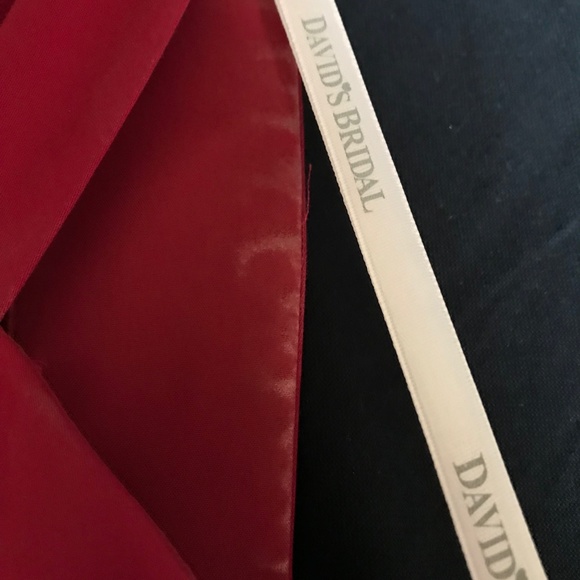 Gorgeous David's Bridal Dress w/ POCKETS! - Picture 6 of 6